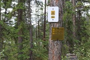 This Way to camping